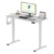 FLEXISPOT Elektrischer Höhenverstellbarer Schreibtisch 120 x 60 cm, Ergonomischer Tischplatte, Steh-Sitz Tisch Computertisch, einfache Montage, Adjustable Desk(weiß) - 1