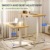 FLEXISPOT Höhenverstellbarer Schreibtisch Basic 160 x 80 cm Elektrisch, FSC-Zertifiziert, 2-Fach-Teleskop - Ergonomisches Sitz-Stehpult mit Tischplatte (Weiß Gestell, Ahorn) - 3