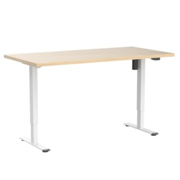 FLEXISPOT Höhenverstellbarer Schreibtisch Basic 160 x 80 cm Elektrisch, FSC-Zertifiziert, 2-Fach-Teleskop - Ergonomisches Sitz-Stehpult mit Tischplatte (Weiß Gestell, Ahorn) - 4